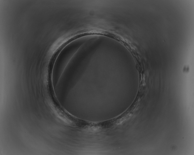 X0000091510247200708241635