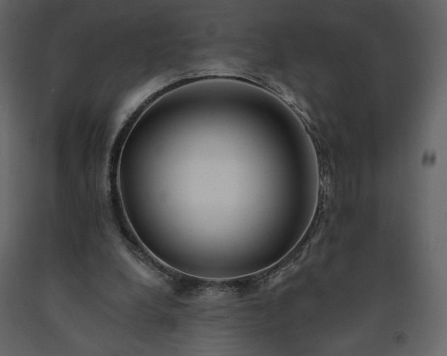 X0000091510248200708241635