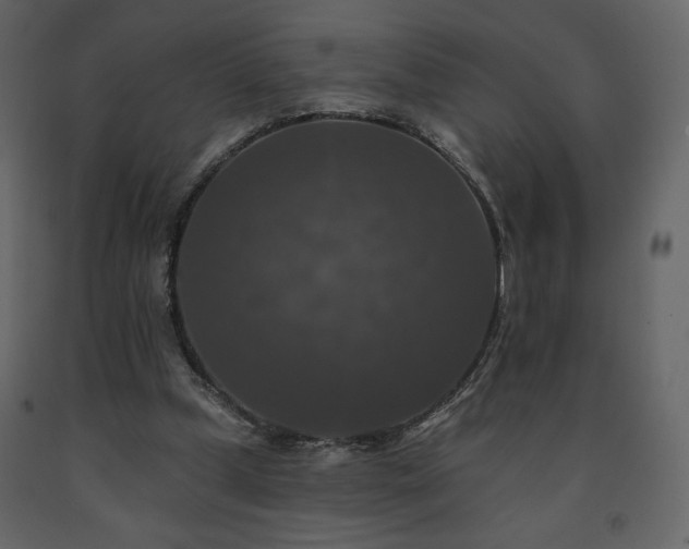 X0000091510249200708241635