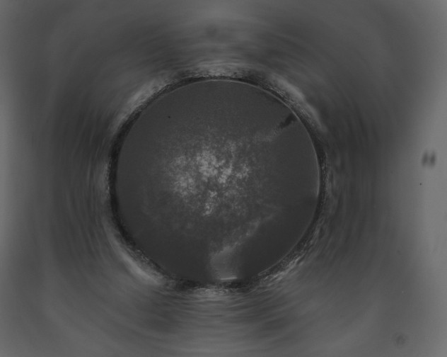 X0000091510250200708241635