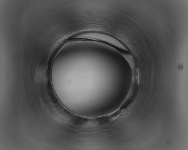 X0000091510252200708241635