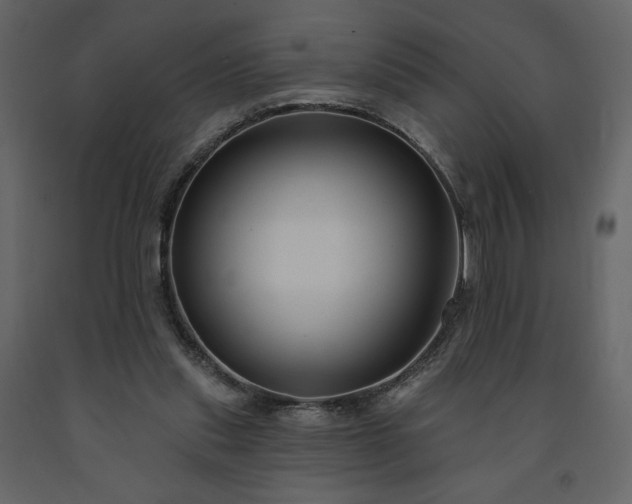 X0000091510253200708241635