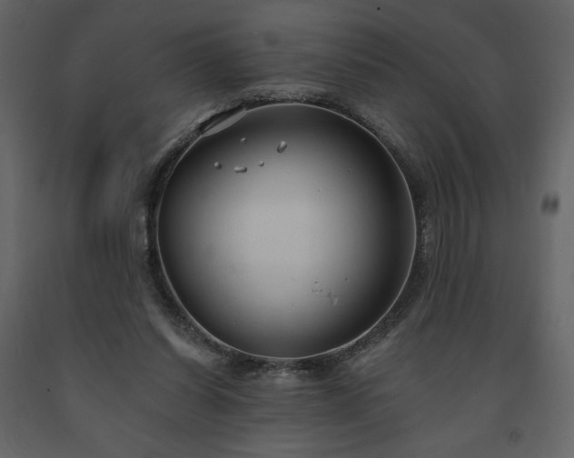 X0000091510254200708241635