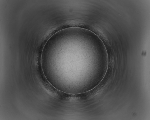 X0000091510255200708241635