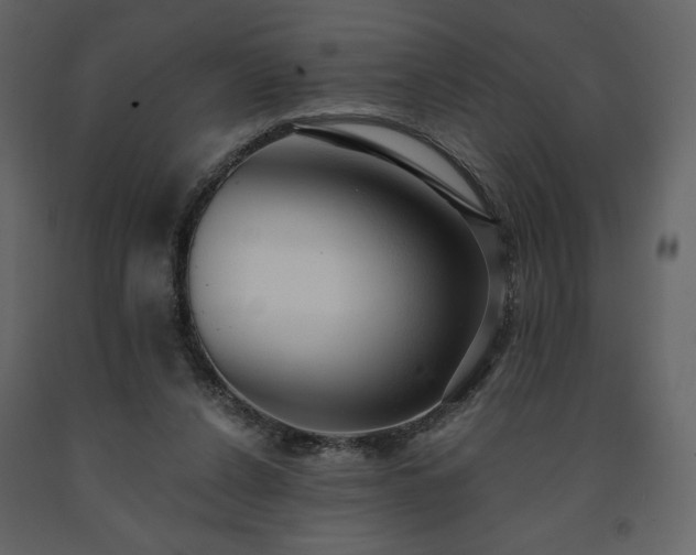 X0000091510256200708241635