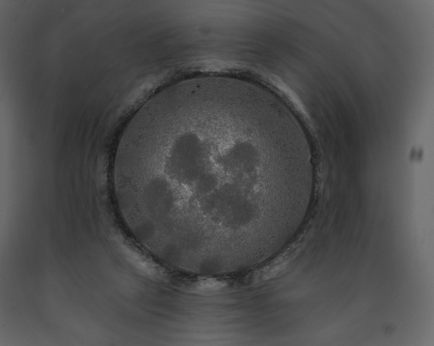 X0000091510257200708241635