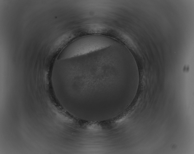 X0000091510258200708241635