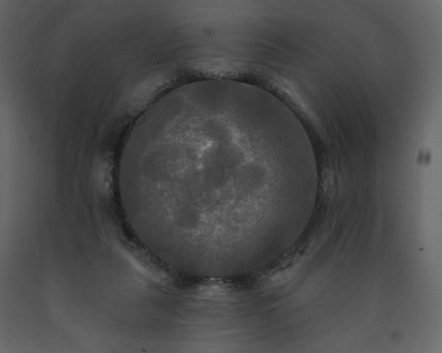 X0000091510259200708241635