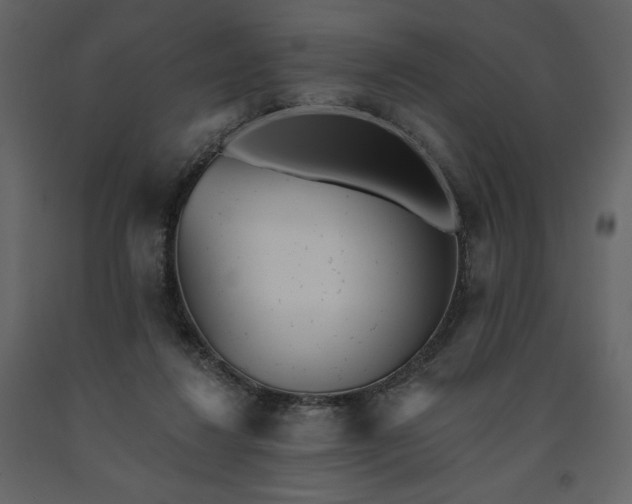 X0000091510260200708241635