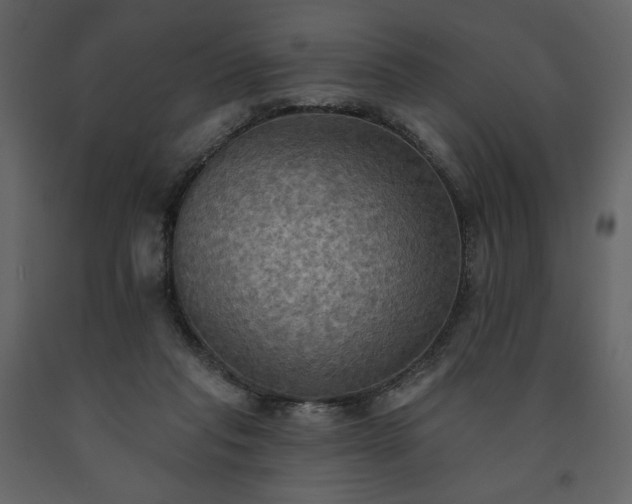 X0000091510261200708241635