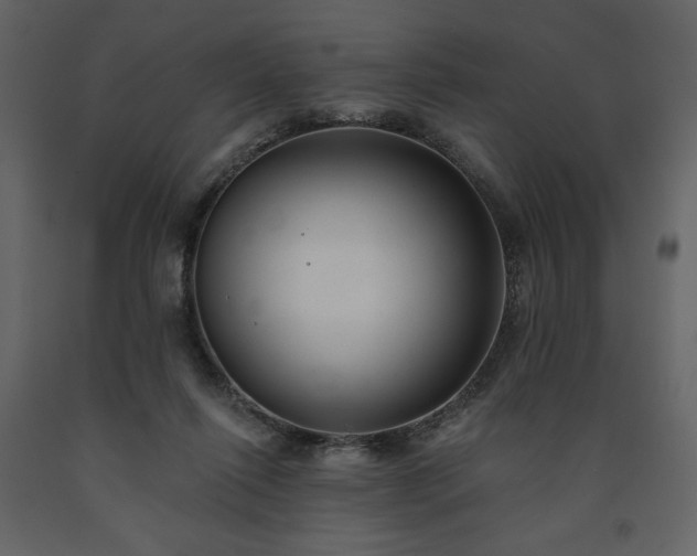 X0000091510262200708241635