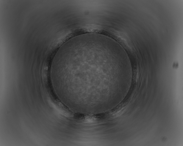 X0000091510263200708241635