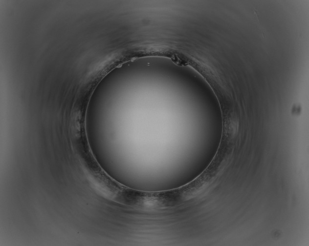 X0000091510264200708241635