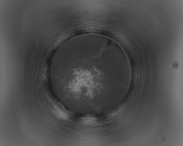 X0000091510266200708241635