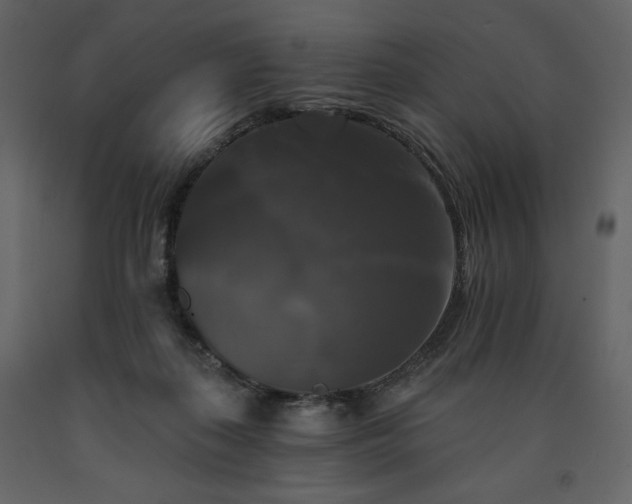 X0000091510267200708241635