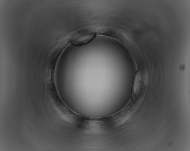 X0000091510268200708241635