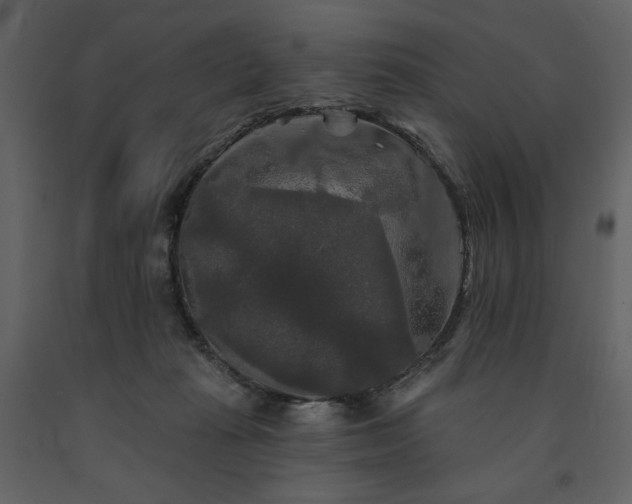 X0000091510269200708241635