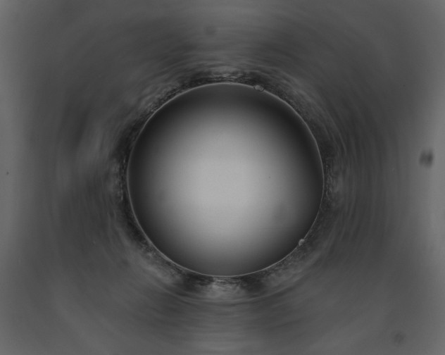 X0000091510270200708241635