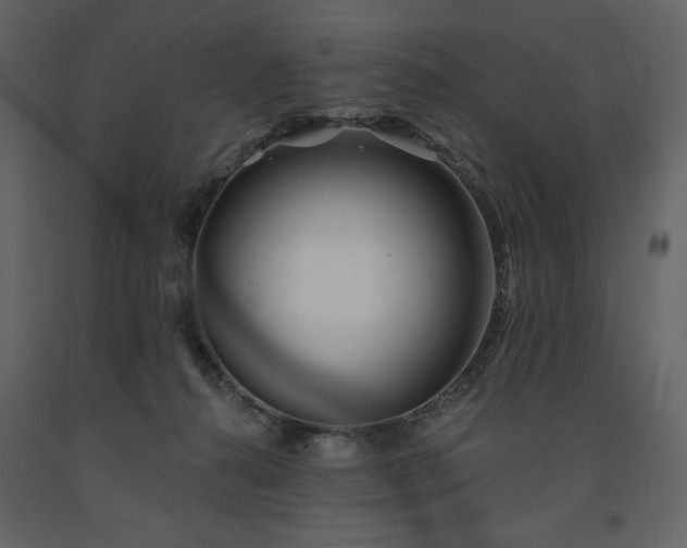 X0000091510272200708241635