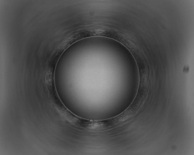 X0000091510274200708241635