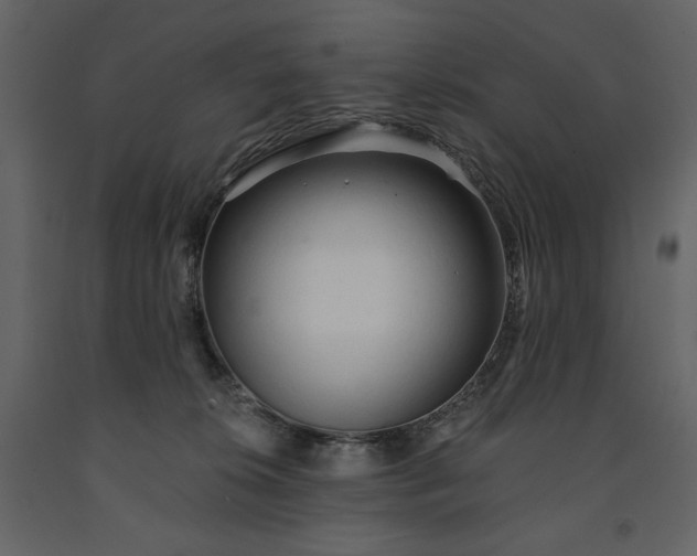 X0000091510276200708241635