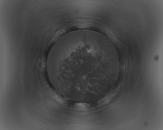 X0000091510277200708241635