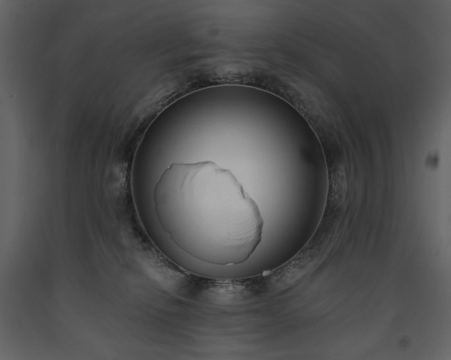 X0000091510278200708241635