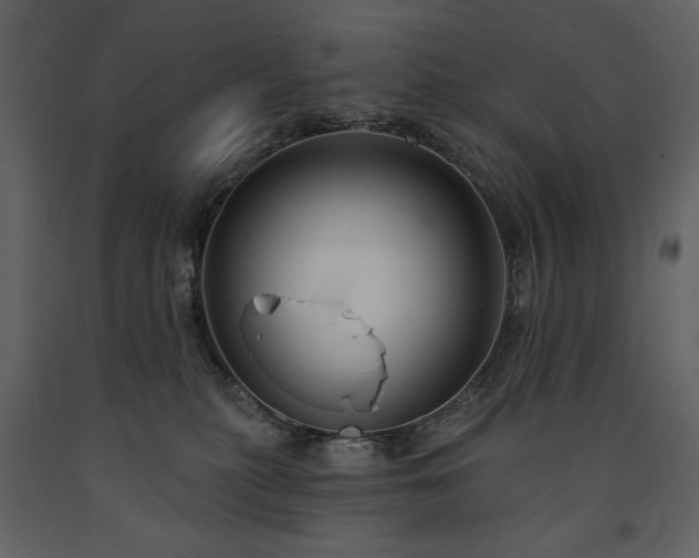 X0000091510279200708241635