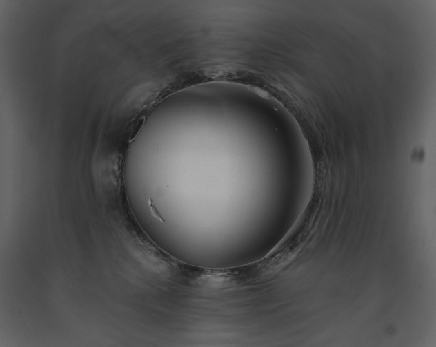 X0000091510280200708241635