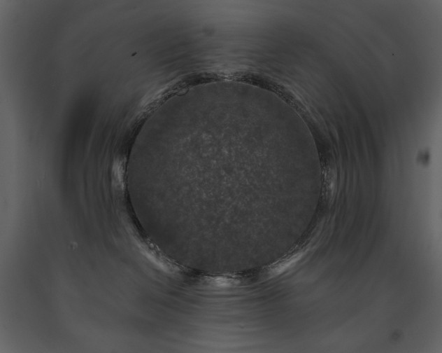 X0000091510286200708241635