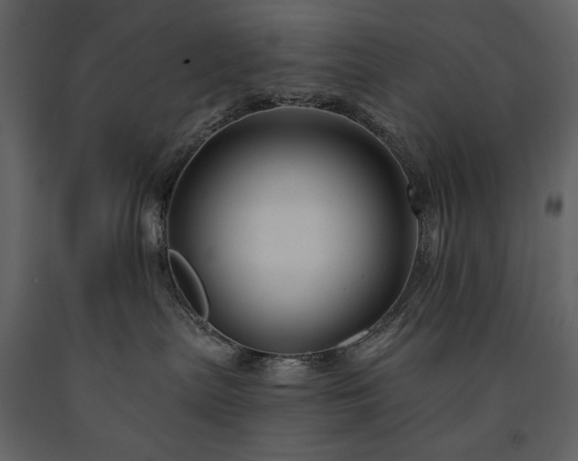 X0000091510287200708241635