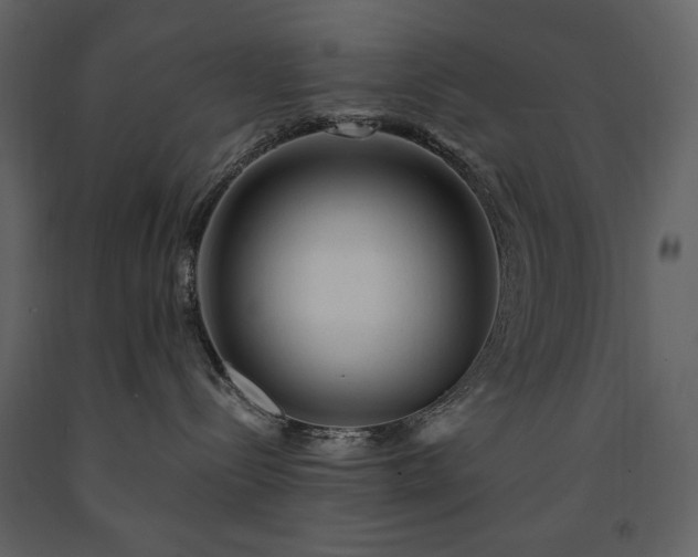 X0000091510288200708241635