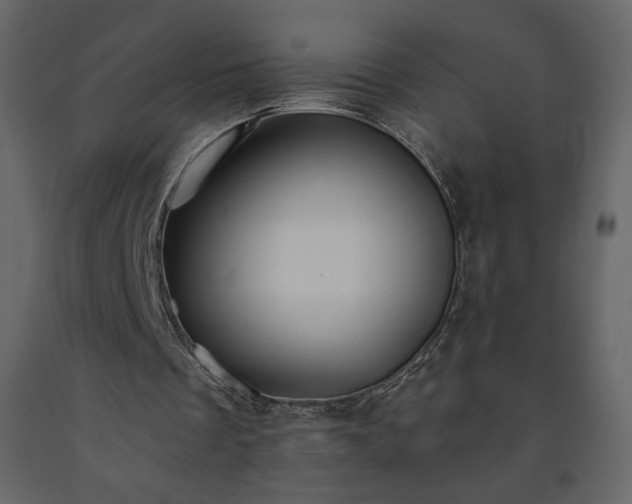 X0000091510289200708241635