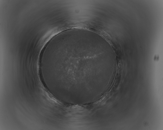 X0000091510290200708241635