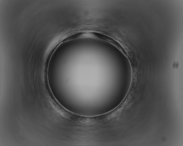 X0000091510293200708241635