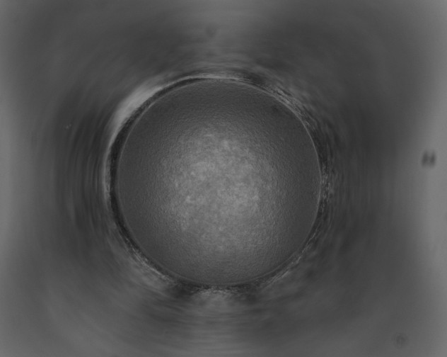 X0000091510294200708241635