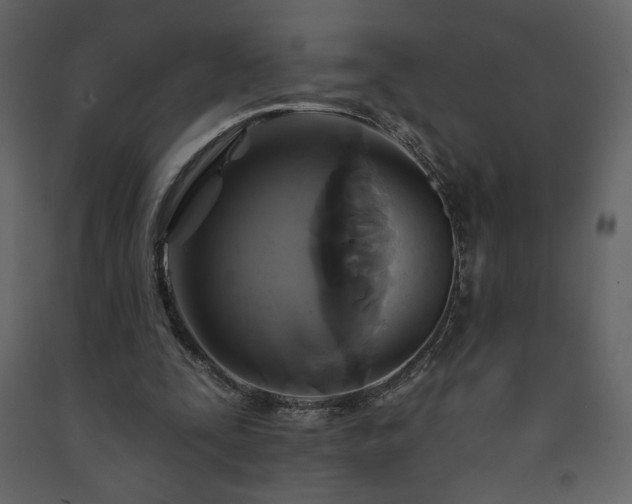 X0000091510295200708241634