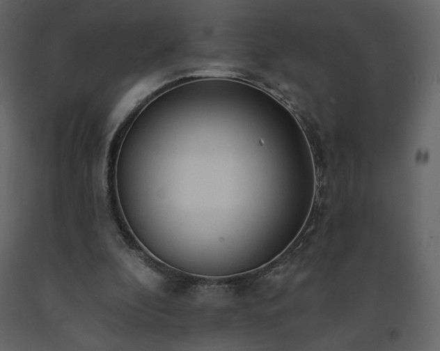 X0000091510296200708241634