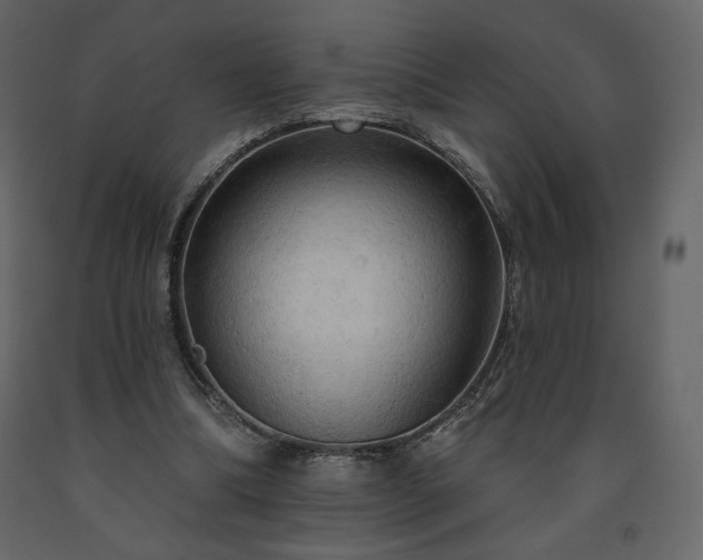 X0000091510298200708241634