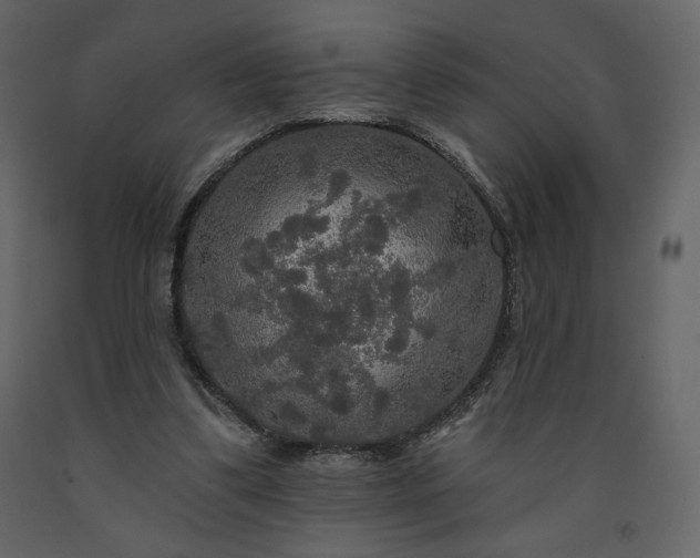 X0000091510299200708241634