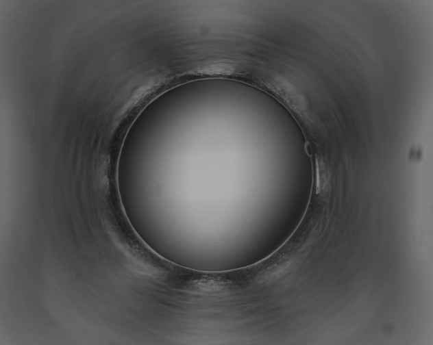 X0000091510300200708241634