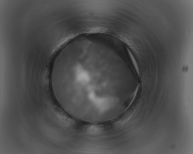 X0000091510303200708241634