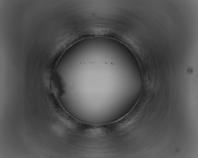 X0000091510307200708241634