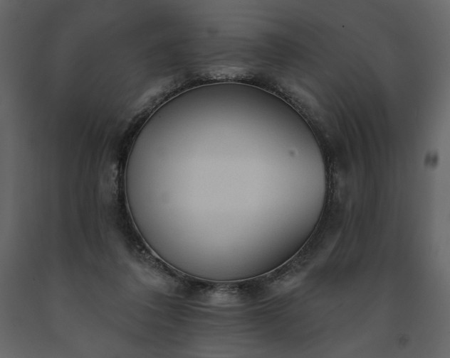 X0000091510308200708241634