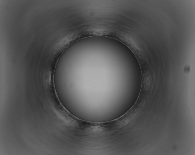 X0000091510310200708241634