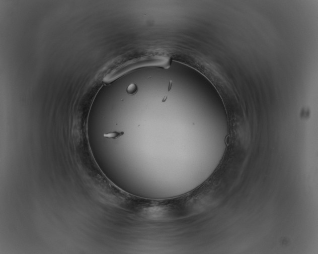 X0000091510312200708241634