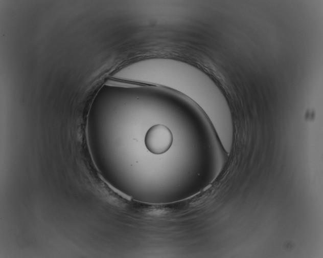 X0000091510313200708241634