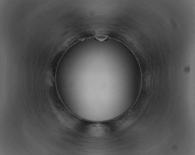 X0000091510316200708241634