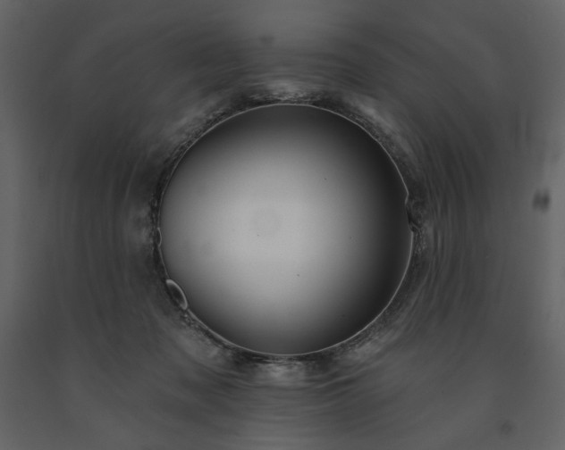 X0000091510317200708241634