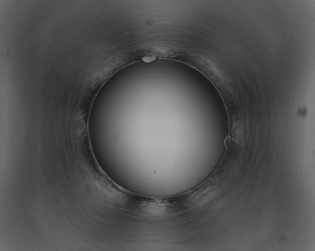 X0000091510318200708241634